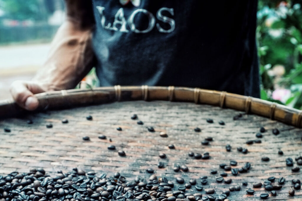 วิถีชาวไร่กาแฟ ที่ปากซอง ที่ราบสูงโบลาเวน