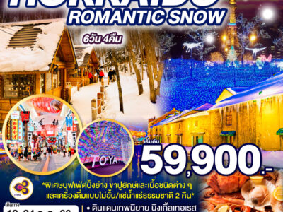 1686919238 HOKKAIDO ROMANTIC SNOW 6D 4N โดยสายการบินไทย TG