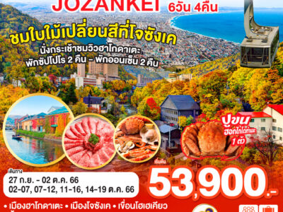 16903775351 HOKKAIDO HAKODATE JOZANKEI 6D 4N โดยสายการบินไทย TG